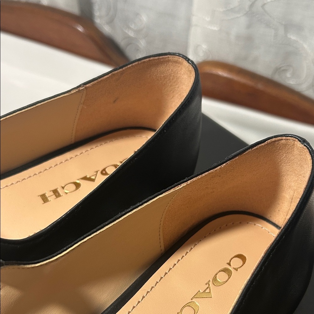 Coach Winley Leather Mary Jane Flats - Picture 8 of 10